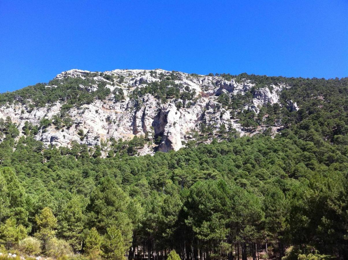 منزل الضيف Casas Cueva El Mirador De غاليرا المظهر الخارجي الصورة